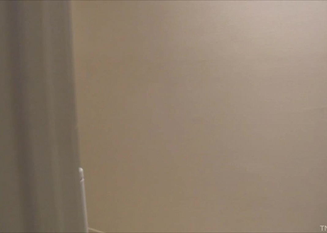 Look What The Cat Dragged In